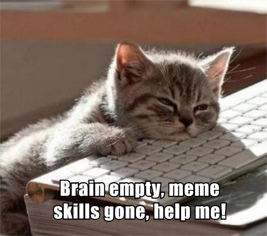 Stuck for ideas? Use AI Meme Generator to spark creativity